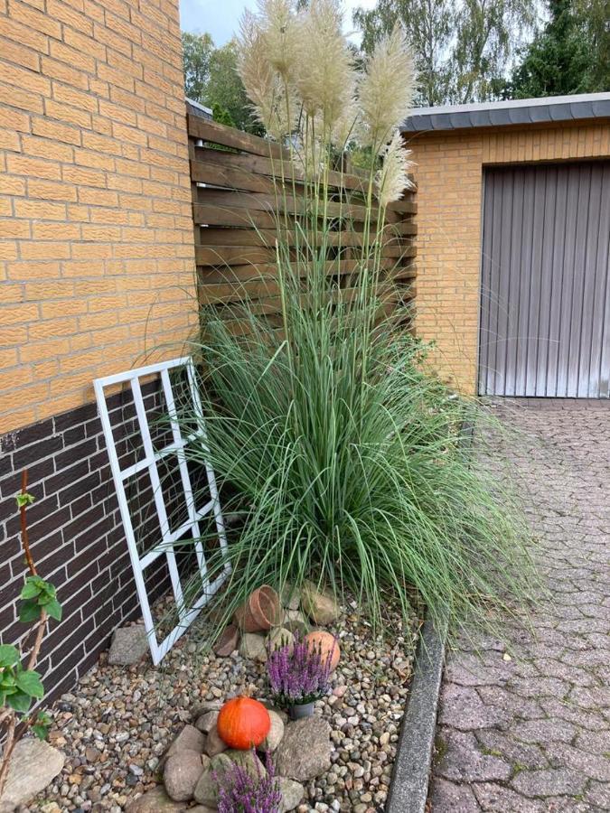 Ferienwohnung Schultze Munster Zewnętrze zdjęcie